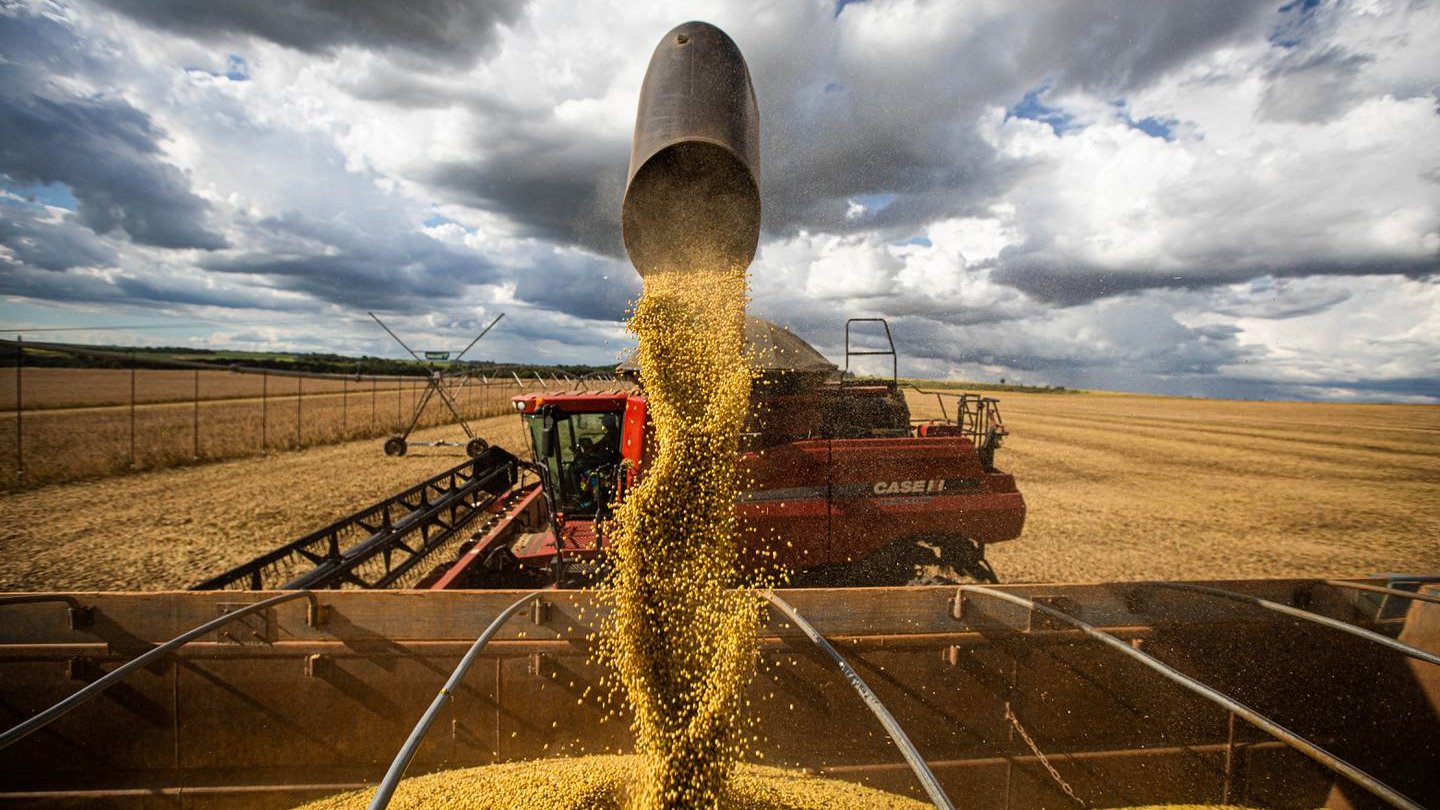 World Hunger And The War In Ukraine