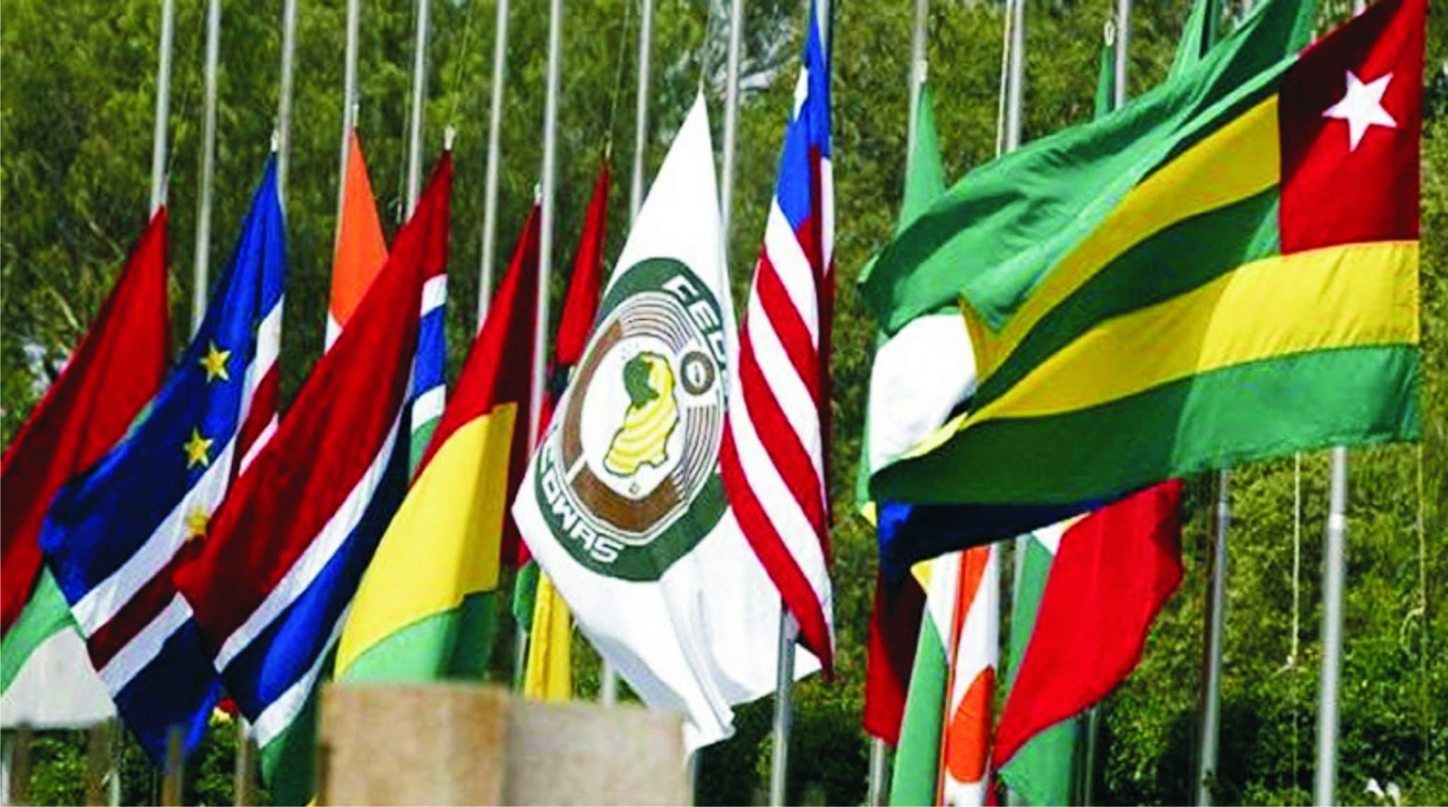ECOWAS Must Survive!